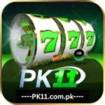 11Pak Game